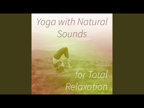 Bring Back Into Balance: Massage Music