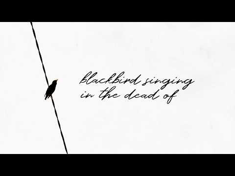 Blackbird Lyric Video - The Gray Havens