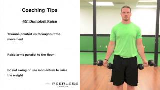 391. 45° Dumbbell Raise