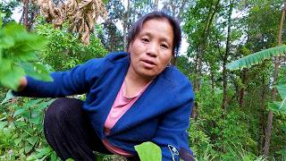 Download lagu sarmila rai in the village @bhumicooking mp3 Download lagu sarmila rai in the village @bhumicooking mp3