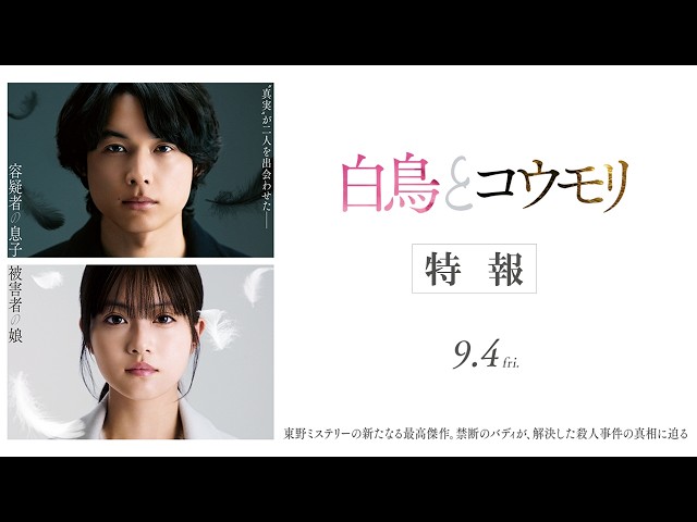 『白鳥とコウモリ』特報
