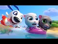 Talking Tom Pool Gameplay Android Ios