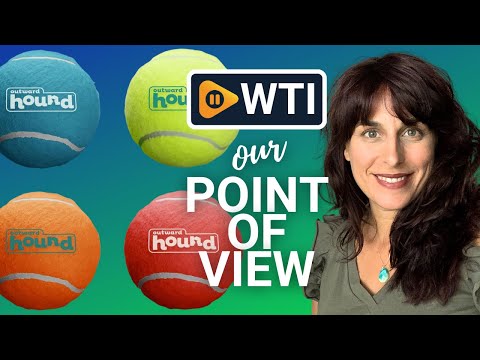 Outward Hound Squeaker Ballz Fetch Dog Toy - WTI product video review