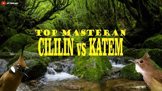 Download lagu TOP MASTERAN!!! CILILIN VS KAPAS TEMBAK DENGAN JEDA | JV KICAU mp3 Download lagu TOP MASTERAN!!! CILILIN VS KAPAS TEMBAK DENGAN JEDA | JV KICAU mp3