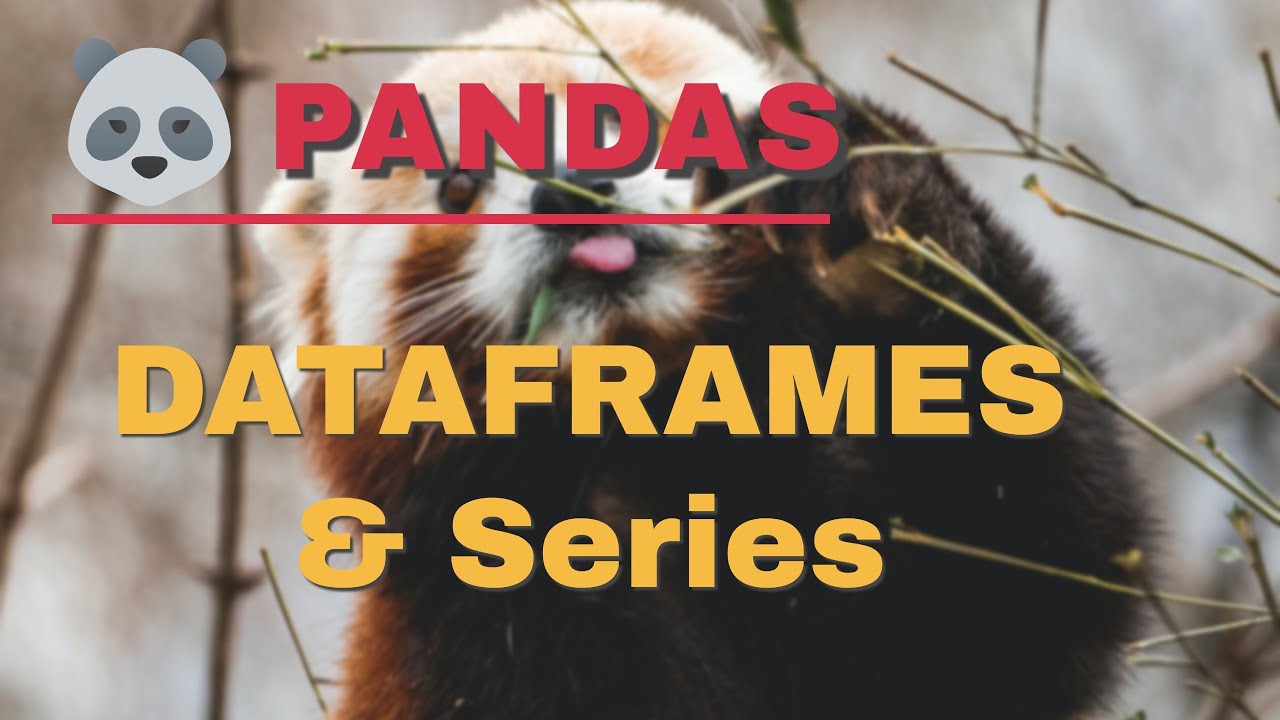 pandas dataframe tutorial | pandas in python for beginners