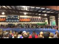 Stingray Apple 2016
