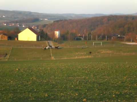 Altenmünster, Stadtlauringen