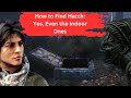 How To Find Hatch Yes Even The Indoor Ones
