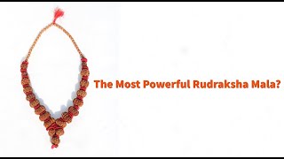 Maha Mrityunjaya Rudraksha Mala