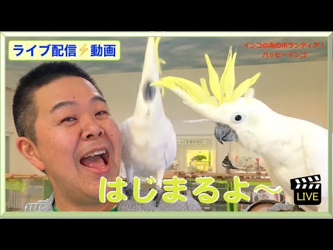 鳥類の環境エンリッチメント