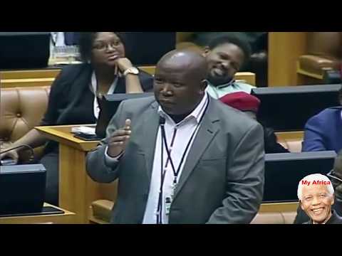 Julius Malema Funny Moments A Compilation See It All.