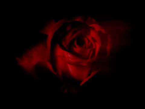 Keyshenn - Sampai Bila? (Official Visualizer)