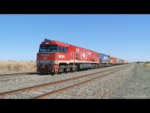 3PM6 Pacific National Container Freight Train (19/3/2022) - PoathTV Australian Railways