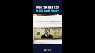 250달러 지폐에 '트럼프 머그샷' / SBS / #shorts
