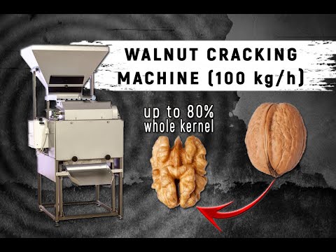 Walnut Cracking Machine productivity 100 kg/h