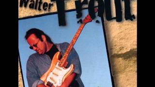 Walter Trout-Obstacles In My Way