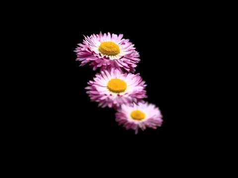 Ruslan Nigmatullin ft. Республика Kids -  Сквозь время (Три товарища)