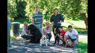 Youtube thumbnail for How to keep pets cool in hot weather