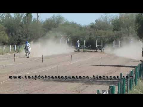 ESPLENDIDO, San Luis (22-11-25)