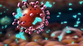 HIV and flu -- the vaccine strategy - Seth Berkley