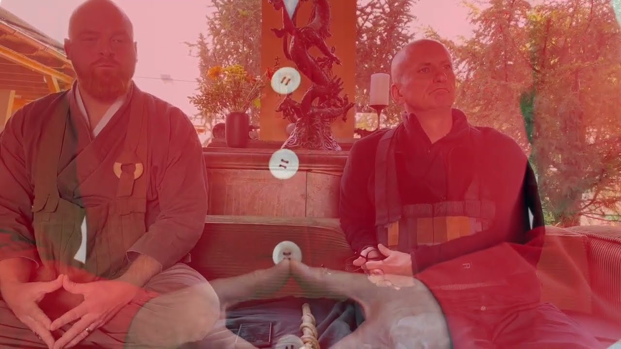 💬 Zen-Meditation: Gedanken zulassen ohne sie zu verfolgen!? 💬