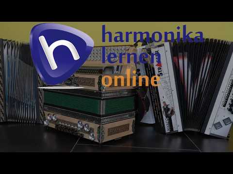 Harmonika Lernen Online: So funktionierts!