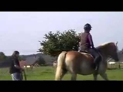 download lagu mp3 mp4 Reiten Lernen Westerwald, download lagu Reiten Lernen Westerwald gratis, unduh video klip Reiten Lernen Westerwald