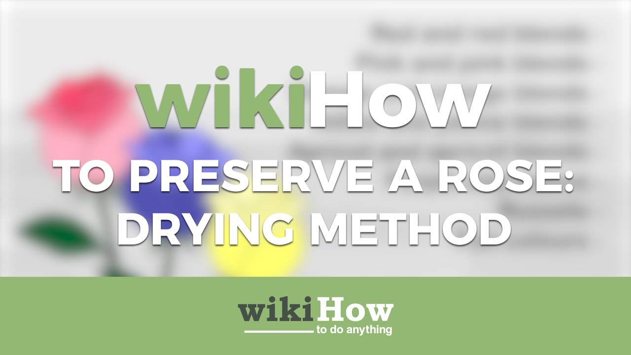 How to Preserve a Rose Using the Drying Method