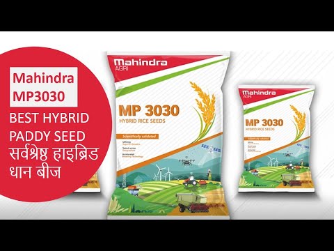 Mahindra MP 3030 Paddy Seeds
