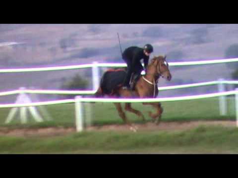 2012-08-11 No Worries - trackwork