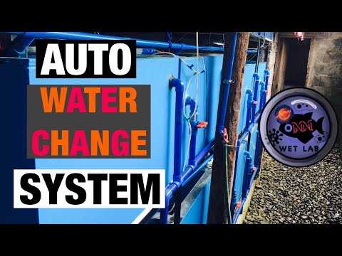 AUTO WATER CHANGE SYSTEM ( SNEAK PEAK)