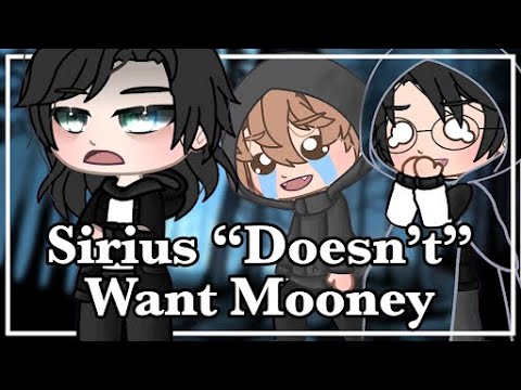 😇🤨 Sirius “Doesn’t” Want Mooney || Wolfstar ❤️☺️