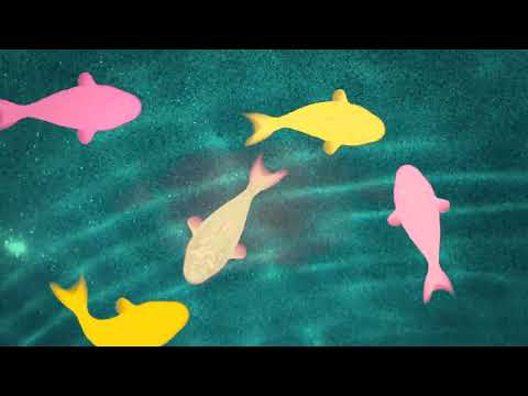 Juego para #gatos 😸 Video Para Gatos con PECES 🐟