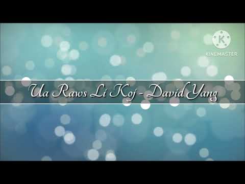 Ua Raws Li Koj (lyrics) - David Yang