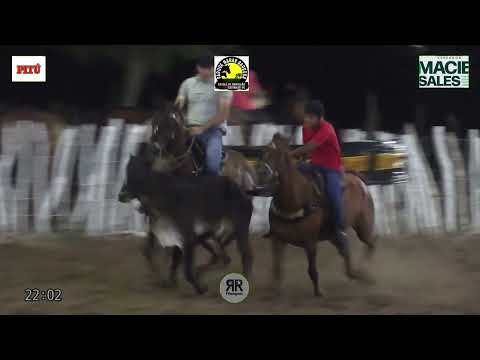 Classificação Sábado, Bolão de Vaquejada, Parque Haras Barbosa, Catolé - Casinhas _ PE 18/10/2025