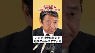 補正予算と経済対策の必要性 #国民民主党 #榛葉賀津也 #政治解説