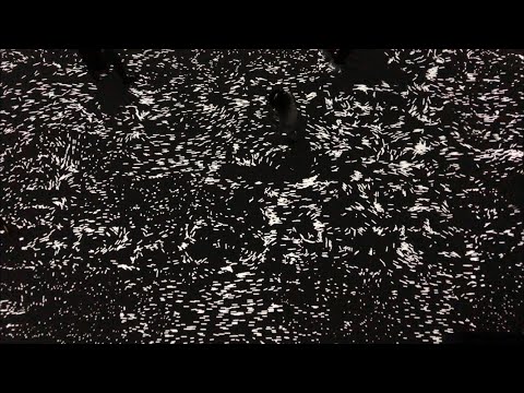 GAÎTÉ LYRIQUE EXPO "FAIRE CORPS " PARIS 4K