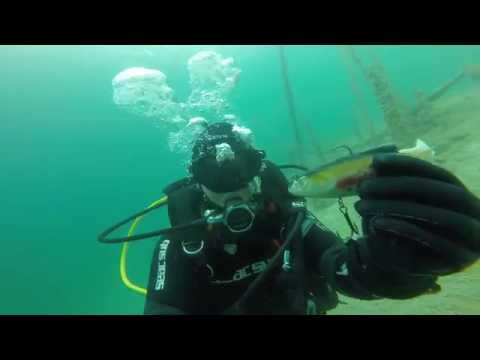 Ein wunderschöner Tauchgang bei der Tauchschule Dive-World