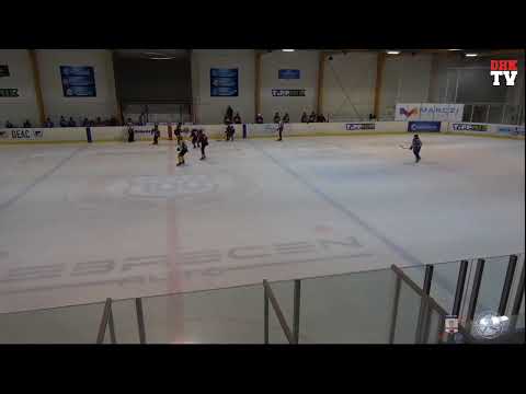 2nd Round CJHL:  Corona Brasov Wolves (guest team) - Kryzhynka Kyiv