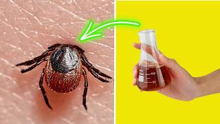 Ticks NEVER come near! THIS is stronger than the Best Repellant