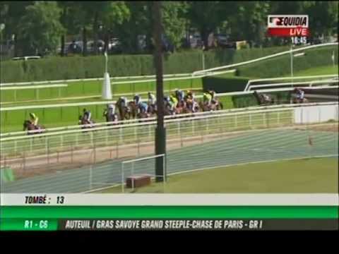 Mid Dancer / Grand Steeple Chase de Paris Groupe 1 / Auteuil / Pegasus Farms Ltd