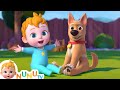 Bingo Song More Nursery Rhymes Kids Songs NuNu Tv