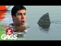 Shark Attack Prank