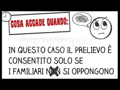 Tatzebao - Istituto Mazzini-Da vinci Savona