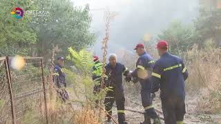 ΦΩΤΙΑ ΣΕ ΕΓΚΑΤΑΛΕΛΕΙΜΜΕΝΟ ΒΑΓΟΝΙ ΤΟΥ ΟΣΕ ΣΤΗ ΛΑΡΙΣΑ 18 09 2026