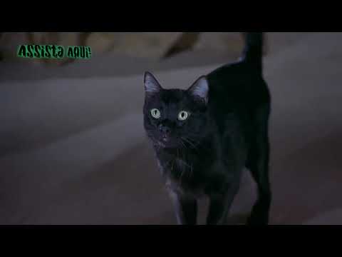 Gato Demoníaco😬 ( Todo Mundo em Pânico 2)