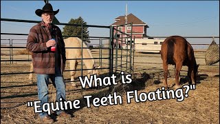 What is Equine Teeth Floating?  Keeping horses healthy.
