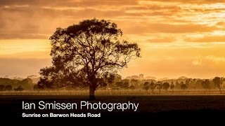 Landscape Photography #10: Sunrise and a Tree