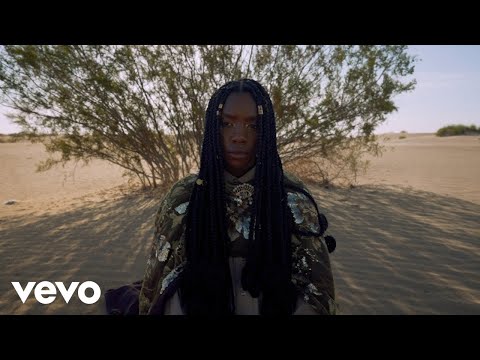 Dua Saleh - Flood (feat. Bon Iver) [Official Visualizer]