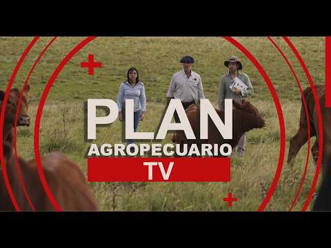 Programa del Plan Agropecuario del 16 de marzo
